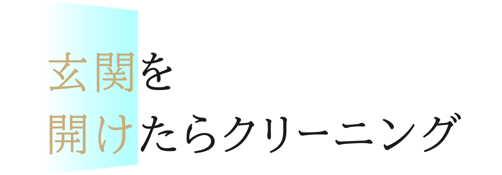 玄関を開けたらクリーニング